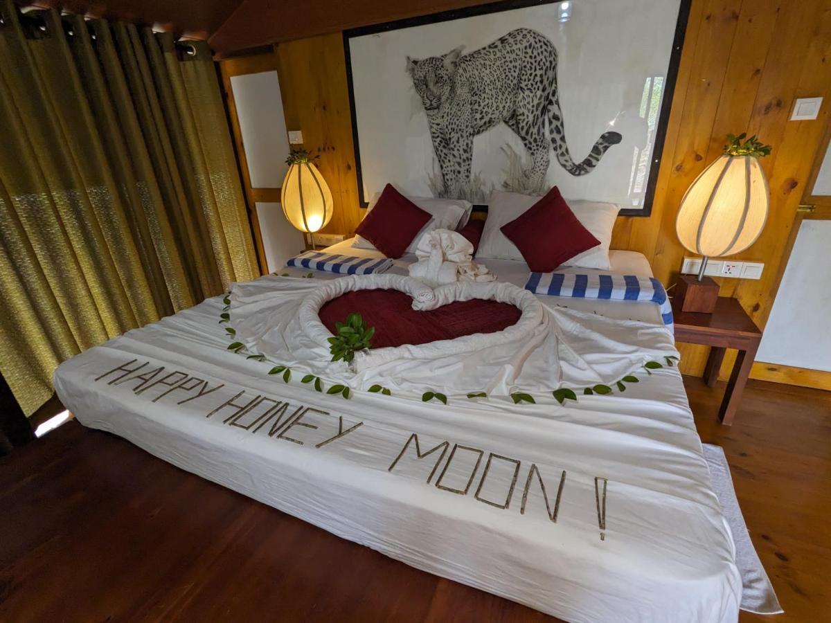Yala Hotel Lion -Air Conditioned High Luxury Safari Camp 外观 照片
