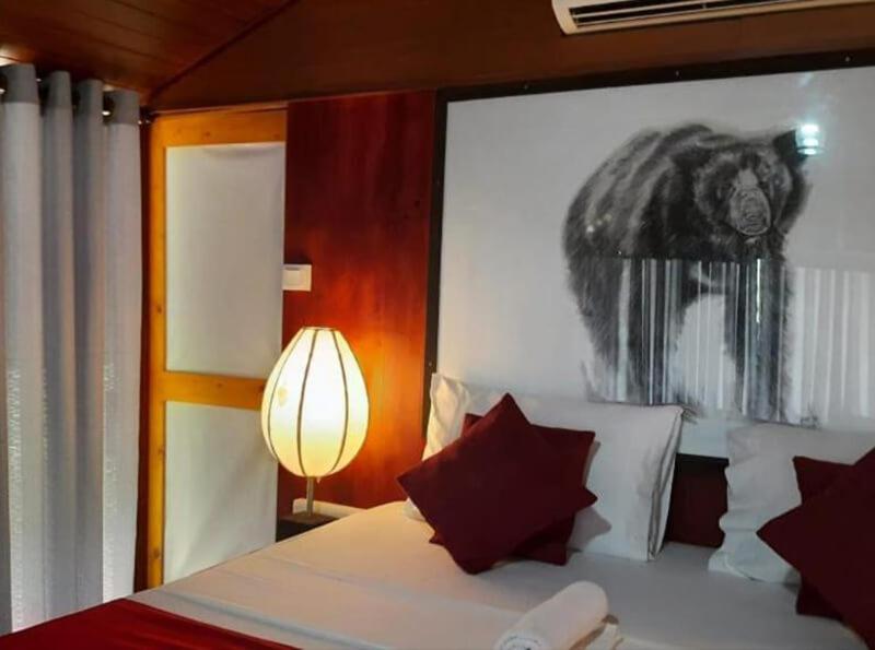 Yala Hotel Lion -Air Conditioned High Luxury Safari Camp 外观 照片