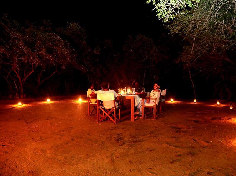 Yala Hotel Lion -Air Conditioned High Luxury Safari Camp 外观 照片