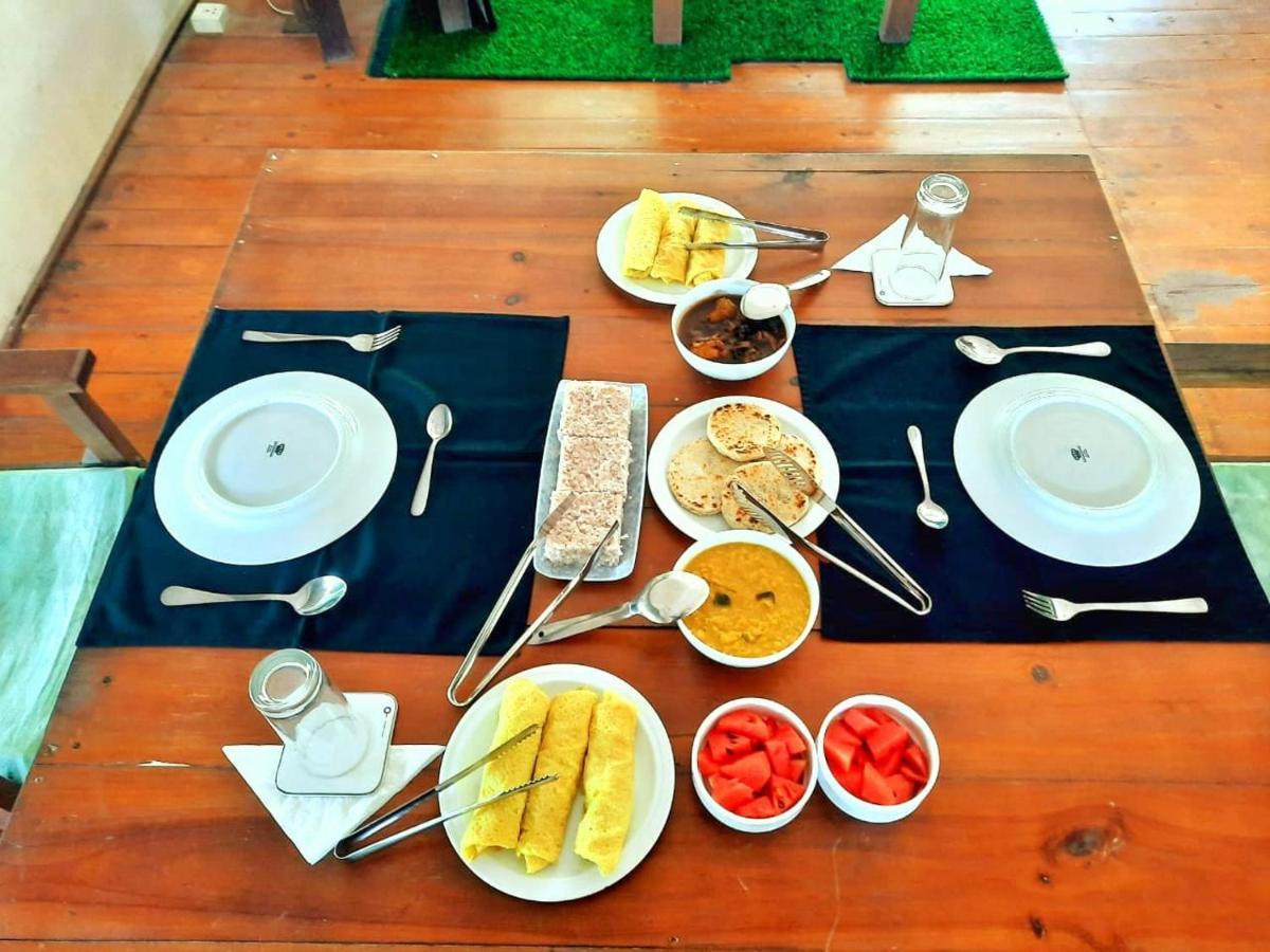 Yala Hotel Lion -Air Conditioned High Luxury Safari Camp 外观 照片