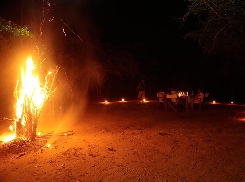 Yala Hotel Lion -Air Conditioned High Luxury Safari Camp 外观 照片