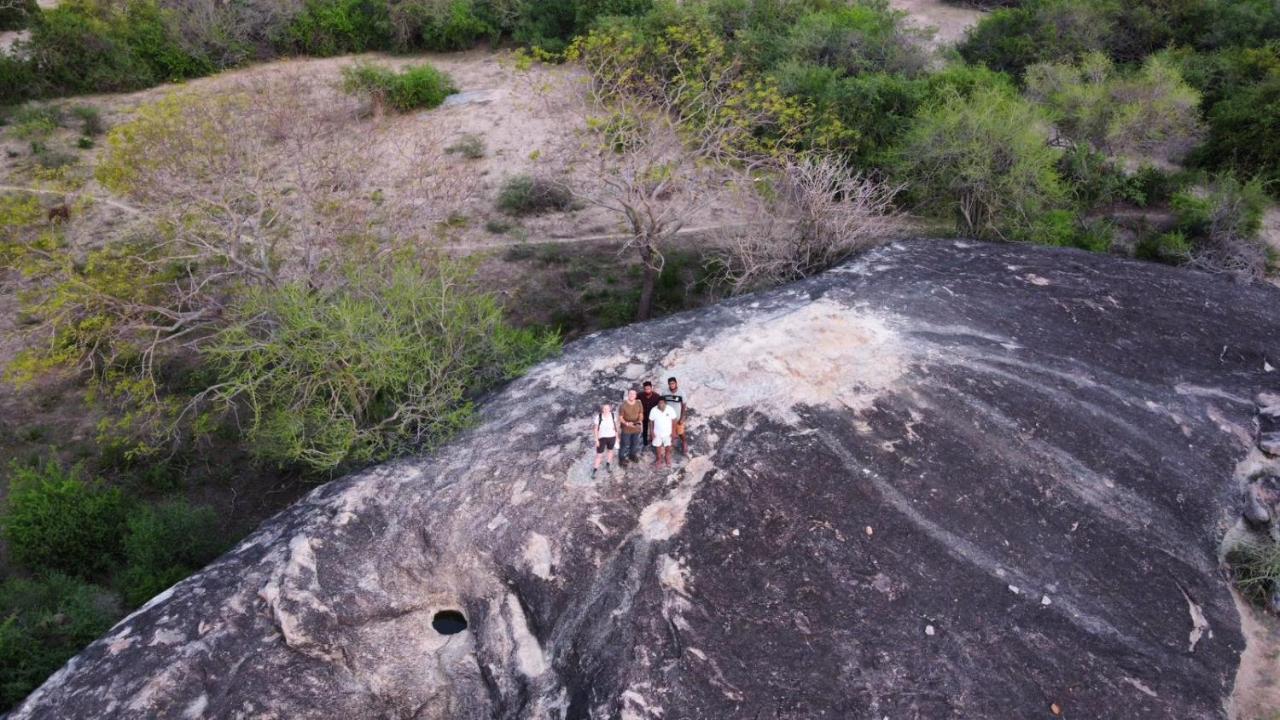 Yala Hotel Lion -Air Conditioned High Luxury Safari Camp 外观 照片