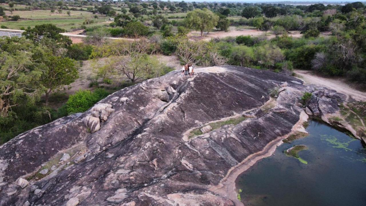 Yala Hotel Lion -Air Conditioned High Luxury Safari Camp 外观 照片