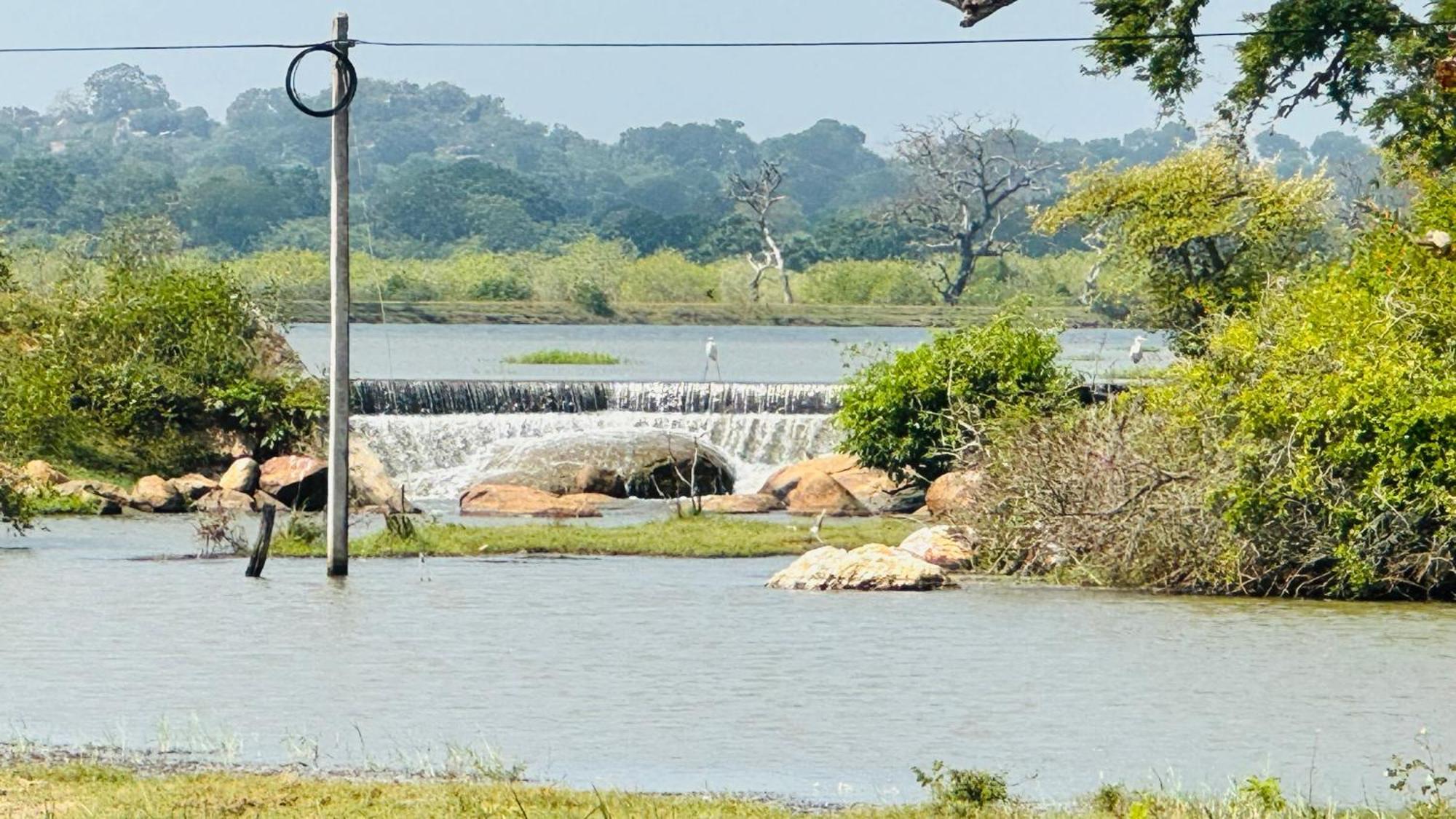 Yala Hotel Lion -Air Conditioned High Luxury Safari Camp 外观 照片