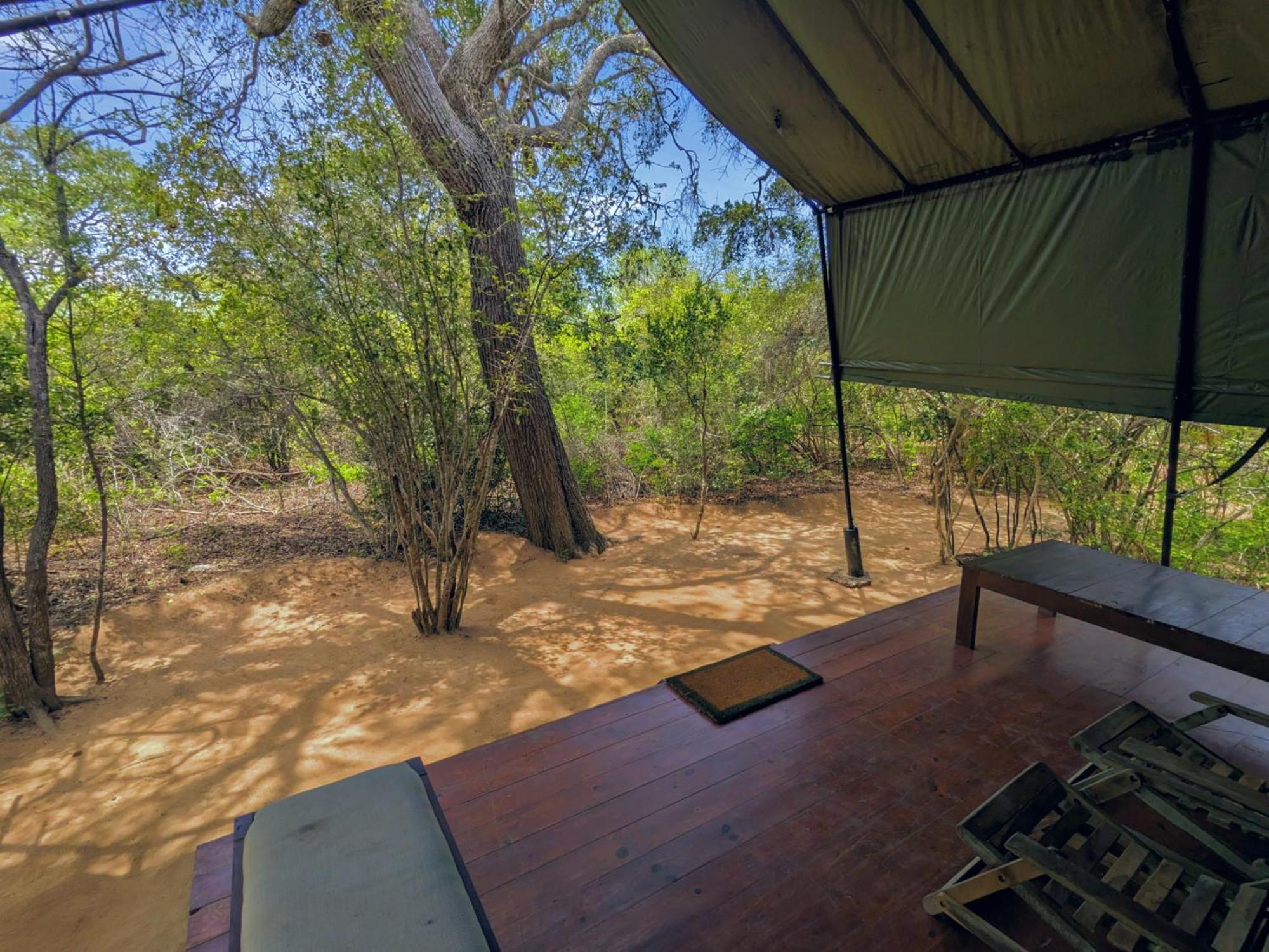 Yala Hotel Lion -Air Conditioned High Luxury Safari Camp 外观 照片