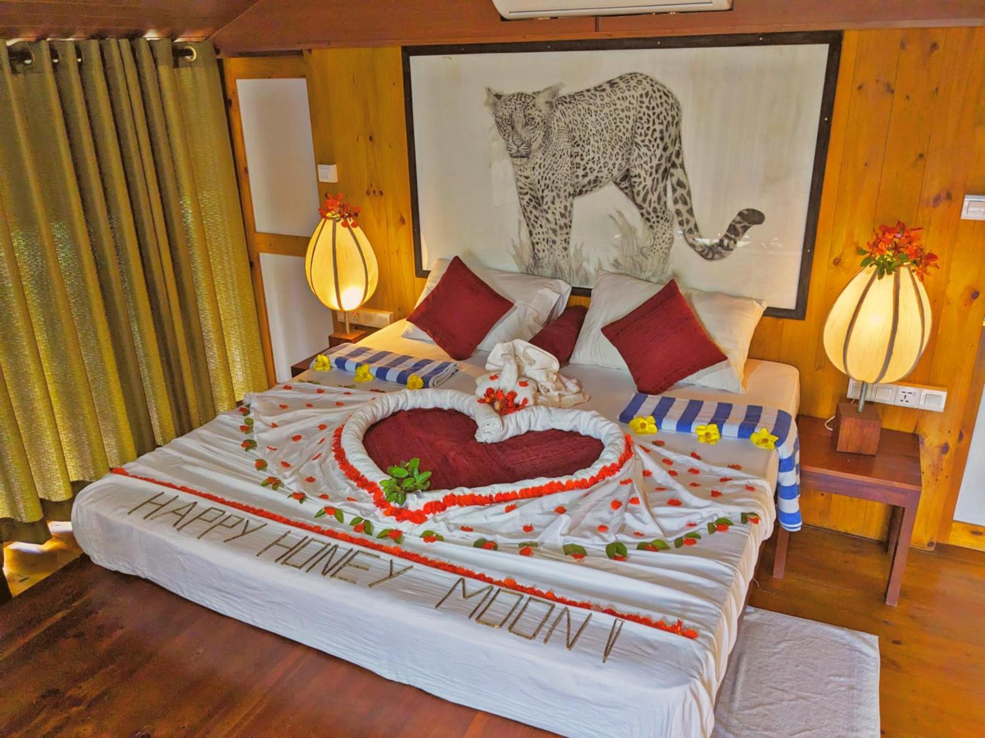 Yala Hotel Lion -Air Conditioned High Luxury Safari Camp 外观 照片