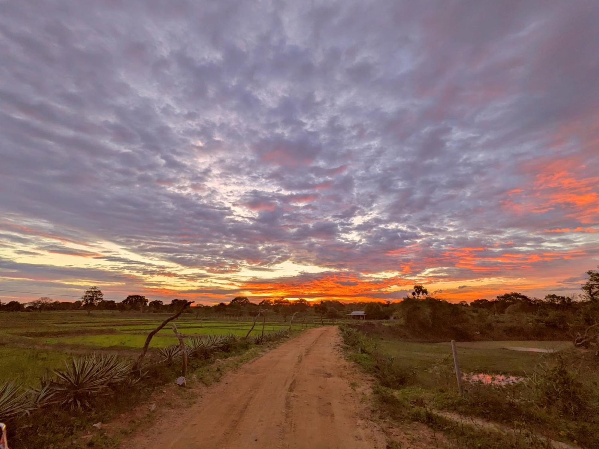 Yala Hotel Lion -Air Conditioned High Luxury Safari Camp 外观 照片
