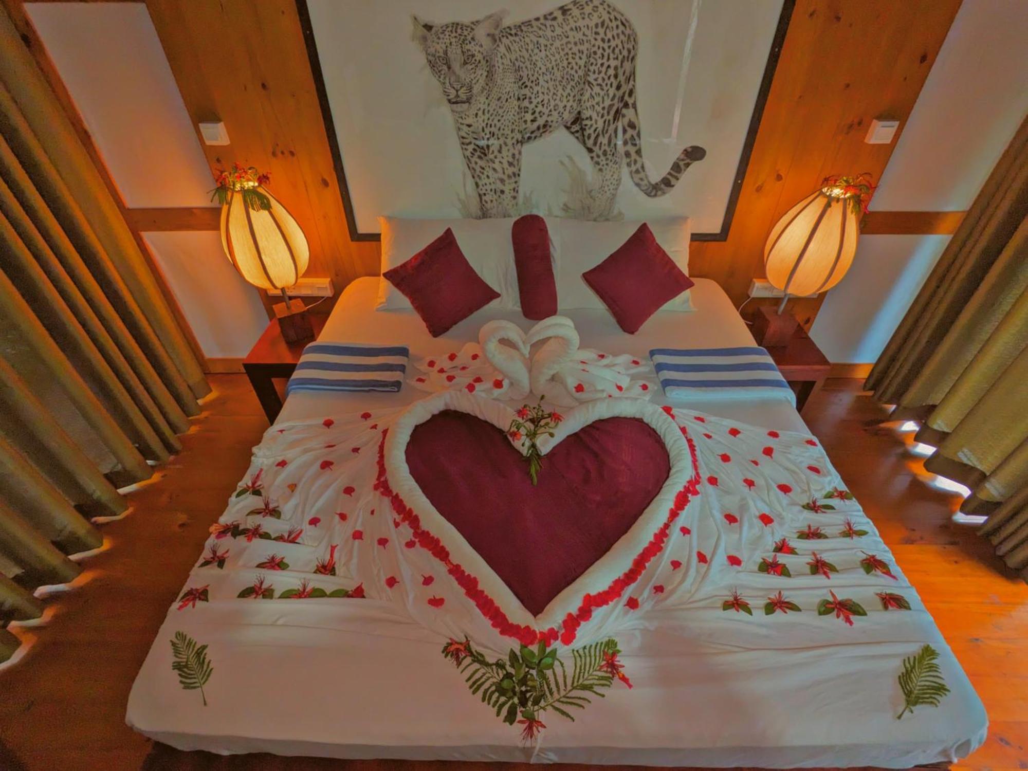 Yala Hotel Lion -Air Conditioned High Luxury Safari Camp 外观 照片