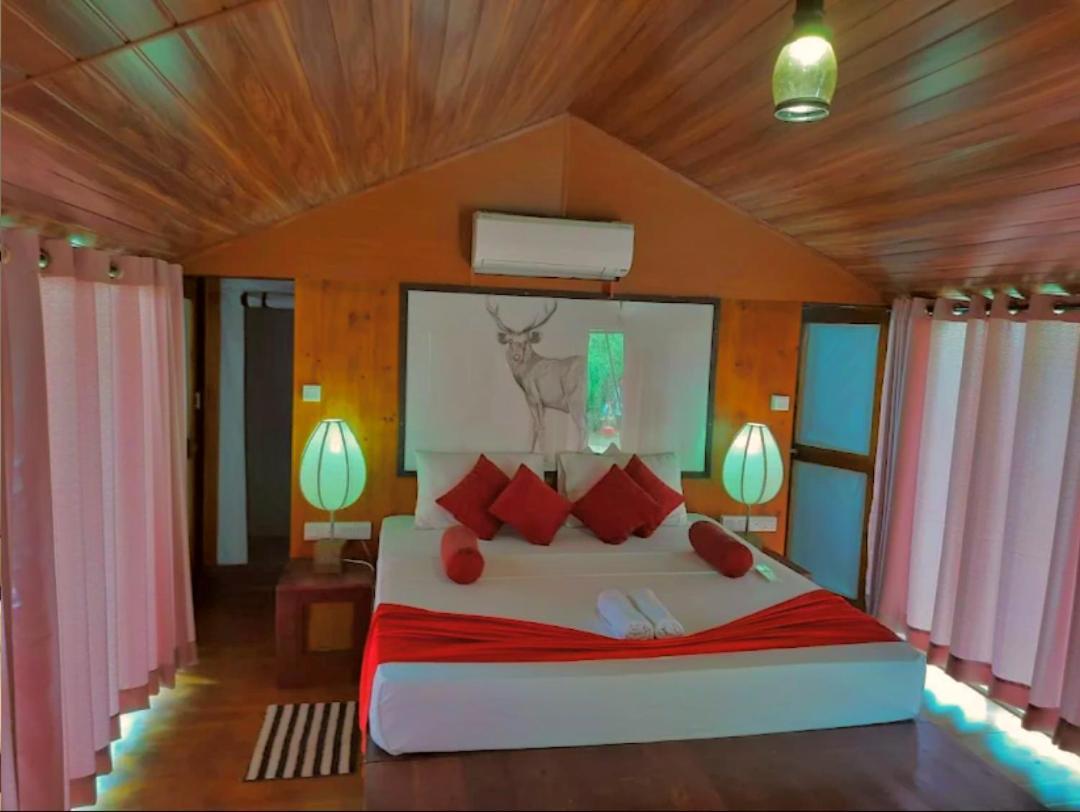 Yala Hotel Lion -Air Conditioned High Luxury Safari Camp 外观 照片